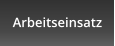 Arbeitseinsatz