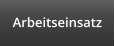 Arbeitseinsatz