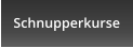Schnupperkurse